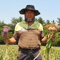 2023 코끼리마늘 홍산마늘 대왕 마늘 주아 식용 종자용, 코끼리마늘 1kg 종자