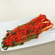 선화동 실비집 매운 실비김치 파김치 500g