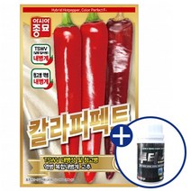 아시아종묘 고추씨앗종자 칼라퍼펙트(1200립)+루터100ml 증정