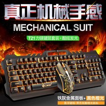 Force 데스크탑 화려한 발광 무소음 핸드폰 거치 배그 콜오브듀티 리그오브레전드 롤 키보드 마우스노트북, none, 키보드 마우스 세트, T21주황색 키보드마우스 세트(문자 투과)