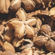 프랑스와즈 유기농 사카잉키 오일, 50ml