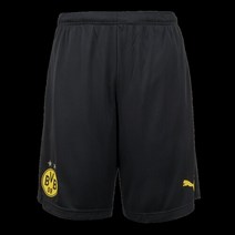 브랜드없음 푸마 도르트문트 트레이닝 쇼츠 75349712