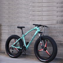 팻바이크 펫바이크 입문용 타이어 성인용 MTB 자전거 엠티비 다운힐 고성능 풀샥 광폭, 26인치 + 7단cm, E