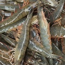 국내산 활 생물 흰다리새우 1kg 30미내외 대하 왕새우 구이 찜 캠핑요리 감바스, 1개