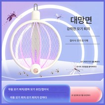 크리에이티브 접이식 전기 모기채 투인원 퍼플라이트 USB 충전 모기채 실내외 저소음 전기 모기채, 플래시 충전 녹색, 옵션2