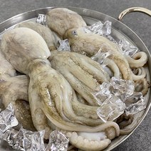 부산이오 냉동 활주꾸미 1kg, 100UP (1kg), 1개