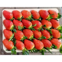 딸기단 프리미엄 설향 딸기 920g+920g 총 1.84kg 2상자 1세트 난좌포장 선물용 답례품(우체국 택배 발송)