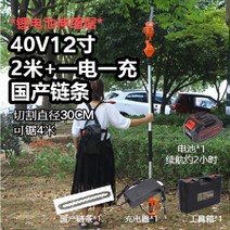 무선 높은 가지 치기 전기톱 고지 고지대 충전식 수목, 40V 12인치 2m