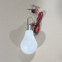 세이브솔라 12V 12W LED 고리전등 노점용 캠핑용 야외용, 백색, 1개