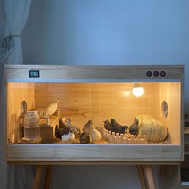 포맥스 사육장 동물 애완 거북 육지 이 pvc, 120x60x63 원목 상자