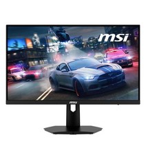 [MSI] MSI G244F IPS 게이밍 170 아이세이버 무결점