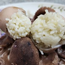 안면도 국내산 알배기 활 주꾸미 1kg