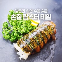 캐나다 랍스터 테일 500g 1kg 바닷가재 랍스타 꼬리, 손질 랍스터 테일 1kg