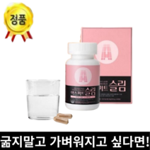 정품 엑스퍼트슬림 다이어트 카테킨 체지방분해 60정 + 대박 사은품 증정