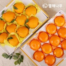 팜커머스 [열매나무]한라봉 3kg[10~13과] + 천혜향 총 2박스, 단일옵션