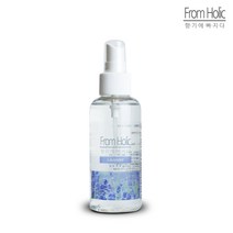 프럼홀릭 라벤더 드레스퍼퓸 선물 홈스프레이 린넨스프레이 섬유향수 방향제 향수 120ml, 선송