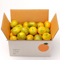 깨비농원 고당도 하우스귤, 1box, 2kg(2S~M)