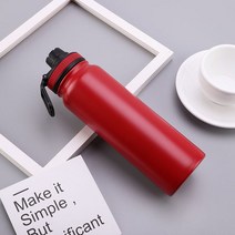진공탈포기 수동 실리콘 탈포기 교반 UPORS 스테인레스 스틸 스포츠 물병 600ml/800ml 대용량 이중벽 진공, 03 Red_03 1000ml