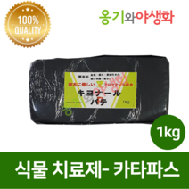 카타파스 1kg 식물상처치료제 아로마
