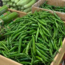 원동FS 국내산 밀양 청양고추(특) 1kg, 1봉