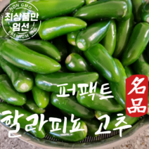 국내산 할라피뇨고추 퍼팩트 고추 아삭이 1kg, 1개