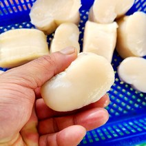 남해안 자연산 키조개 관자 통관자 200g 슬라이스 산지직송 조개구이 찜 버터구이 캠핑음식, 남해안 키조개 관자(슬라이스)200g, 1개