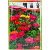 식물의집 백일홍 꽃씨앗 씨