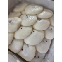 잔기지떡 기정떡 기지떡 술떡 증편 옥수수떡 40알, 1box 40알