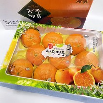 제주도 레드향 선물세트 선물용, 레드향 3kg(7-10과)