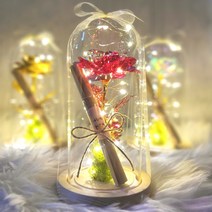 LED유리돔 유리병 기념일 선물 꽃 편지지, 레드 장미 편지 유리돔