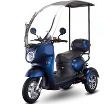 전기오토바이 세발 오토바이 3발 삼륜차 전동차 스쿠터 어르신 성인용 전기 휠 중국103