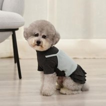 [오늘발송] 귀여운 강아지 레이어드 외출복 여아 여자강아지 애견드레스 푸들 비숑 말티즈 포메라니안 시츄 예쁜 강아지옷 원피스 (블루컬러), M 블루컬러 원피스