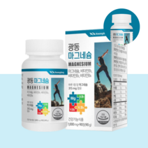 마그미 마그비 마그네슘정 산화마그네슘 비타민 B1 B2 B6 마그네시움 마그네숨 90정
