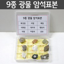 암석표본 9종 광물 관찰 탐색 과학 교구 학습 연구 탐구 방과후 돌봄 이해 재료 실습 창의 원리