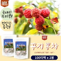 국내산 꾸지뽕 잎 추출물 구찌뽕 구지뽕 열매 가루 차 꾸지뽕 티 우려 먹는 따뜻하게 입 차 티벡 중년 30대 40대 50대 60대 커피 대신 디카페인 직장인 건강 관리 가루 침출차