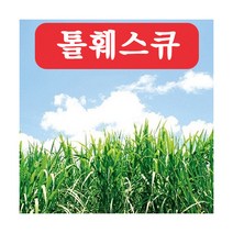 아시아종묘 잔디씨앗종자 톨훼스큐1KG C27, 1개