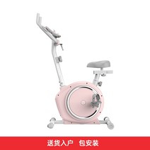 헬스장자전거 미니 실내 자전거 yesoul 야생 동물 방적 집 스포츠 작은 운동기구, eb10-Pink Lemon-Deluxe 마그네트