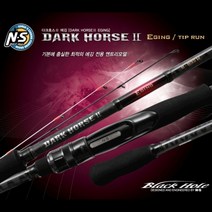 NS 다크호스2 에깅 팁런 바다루어낚시대 무늬오징어 선상낚시대 갯바위, 다크호스2에깅 S-602ML-L-ST(TIP RUN)