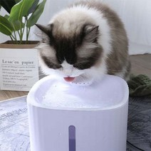 퓨어워터 고양이 정수기 3L+ 필터 1p, 무등형
