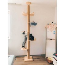 호두TC 캣폴 대형 터널 고양이 점프 수직 놀이터, 스프링보드2개+캐빈1개