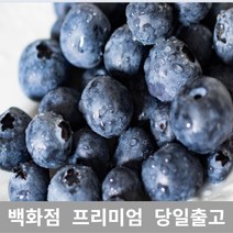 [특등급선별] 블루베리 100g 과일 제철과일 크랜베리 블루베리효능 냉동블루베리 블루베리잼 건크랜베리 블루베리스무디 블루베리주스 블루베리콩포트 생블루베리 블루베리즙