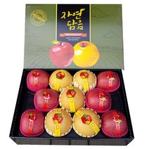 배5개사과6개 혼합세트 명절과일선물세트, 100