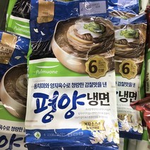 풀무원 평양 물냉면 6인분, 아이스팩 포장