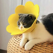 더시티오 3개묶음 반려동물 넥카라 플라워 넥카라 목보호대, 노랑( M ) 3개묶음