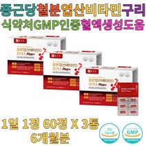 종근당 철분 철 비타민D B12 구리 엽산 60캡슐 3박스, 3개, 60정