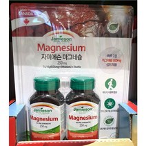 자미에슨 마그네슘 824mg 90정 2병