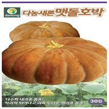 맷돌호박 씨앗 60립