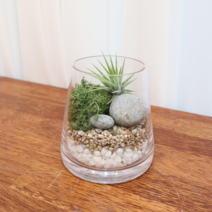 [D.I.Y] 이오난사 스칸디아모스 천연이끼 유리테라리움 만들기 나만의테라리움만들기 먼지먹는식물 홈가드닝 홈인테리어식물 책상화분 미니화분 나만의반려식물만들기