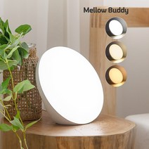 Luxspire Bathroom Vanity Tray + Happy Light Full Spectrum UV-Free Full 10000 Lux Sun Lamp Adjust, 1개