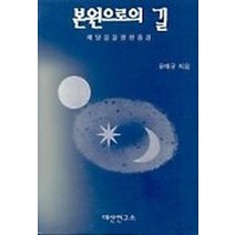 본원으로의 길(깨달음을향한종경), 대산연구소